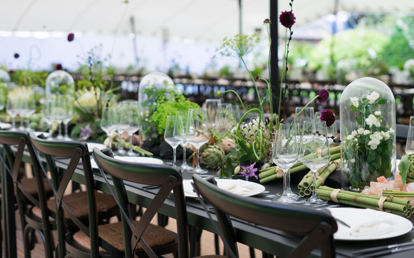 Credit: https://www.chelseaphysicgarden.co.uk/venue-hire/