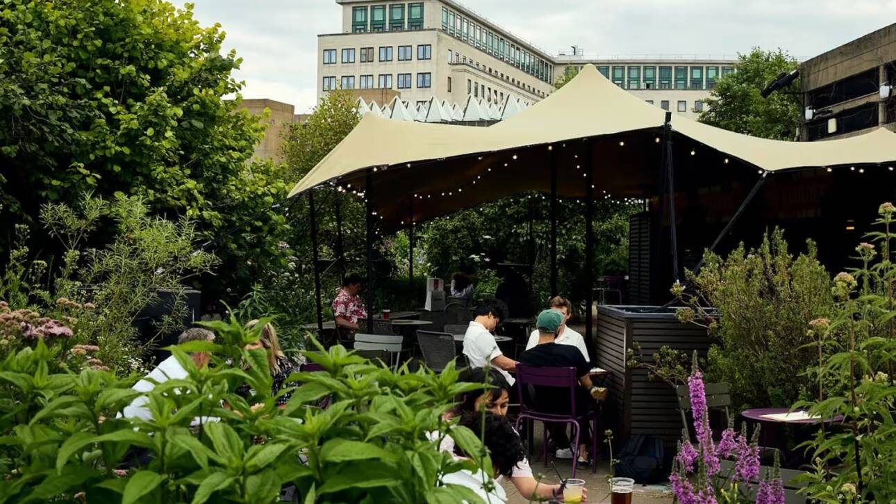 Queen Elizabeth Hall Roof Top Garden Credit: https://www.southbankcentre.co.uk/venues/queen-elizabeth-hall/