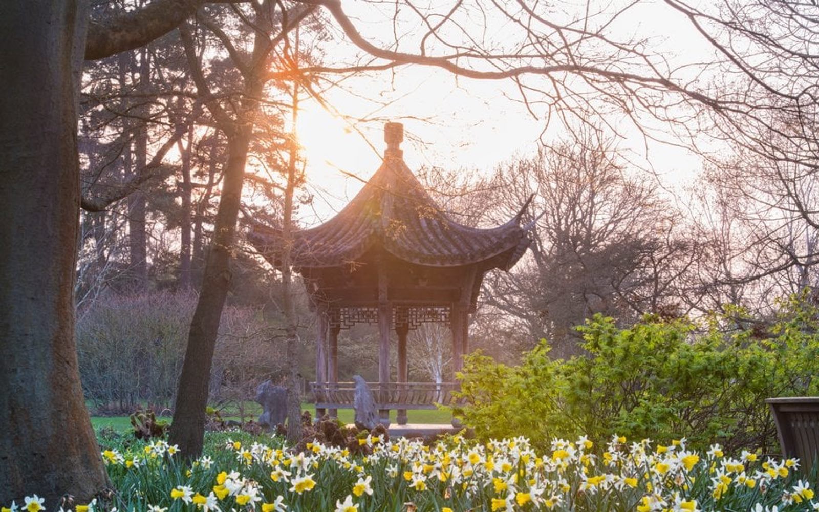 redit: https://www.rhs.org.uk/venue-hire/wisley/butterfly-lovers-pavilion